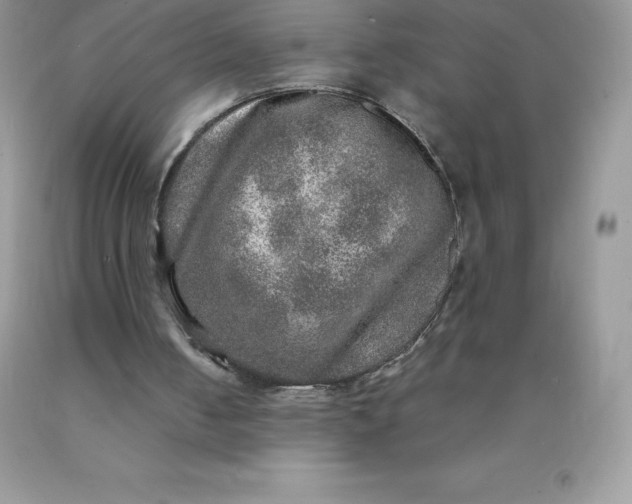 X0000090440050200707272203