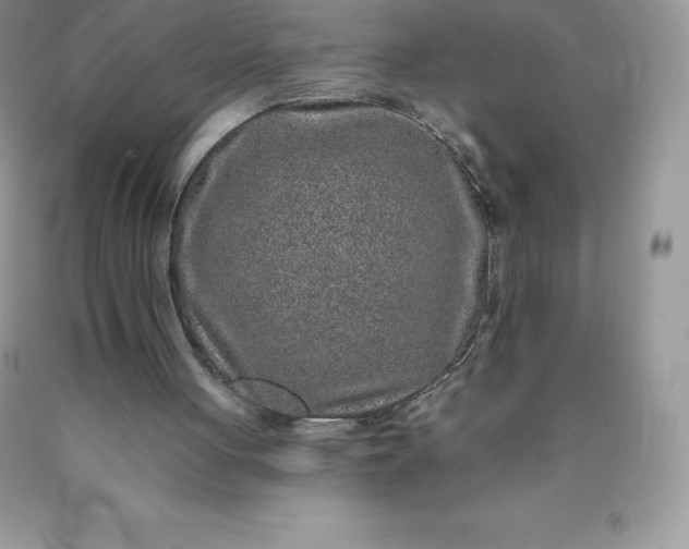 X0000090440051200707272203