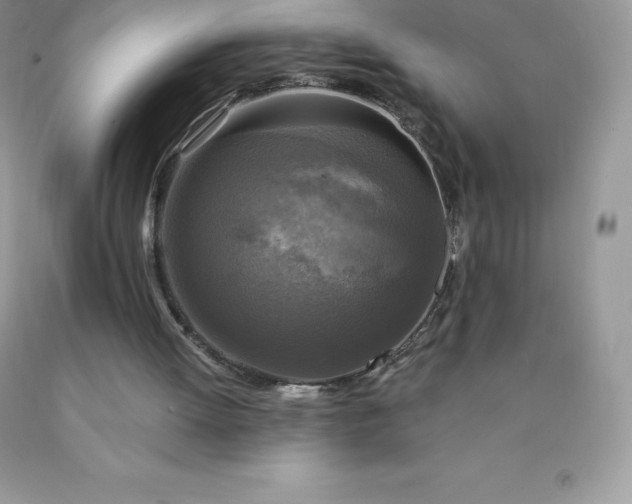 X0000090440052200707272203