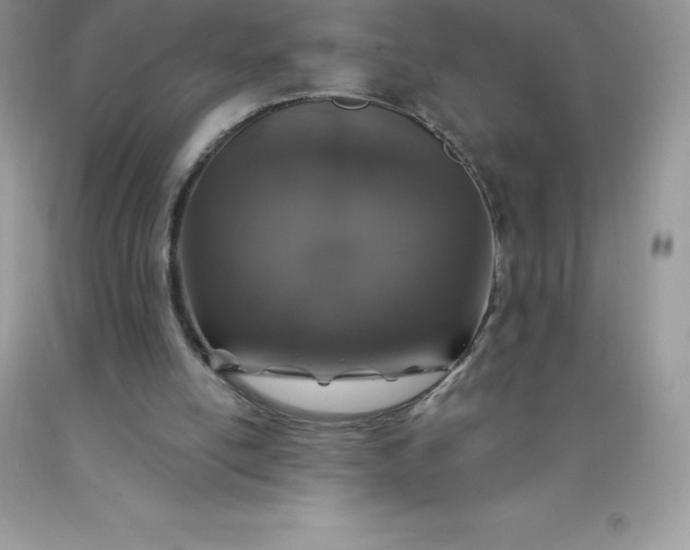 X0000090440054200707272203