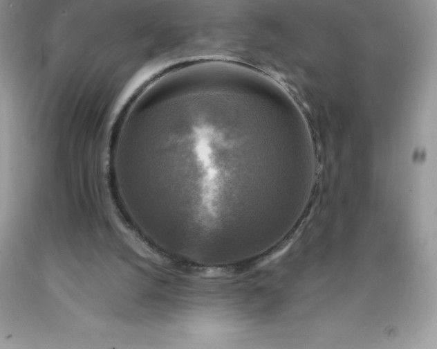 X0000090440056200707272203