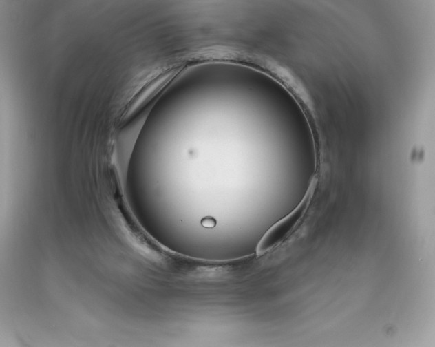 X0000090440057200707272203