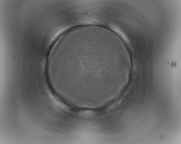 X0000090440058200707272203