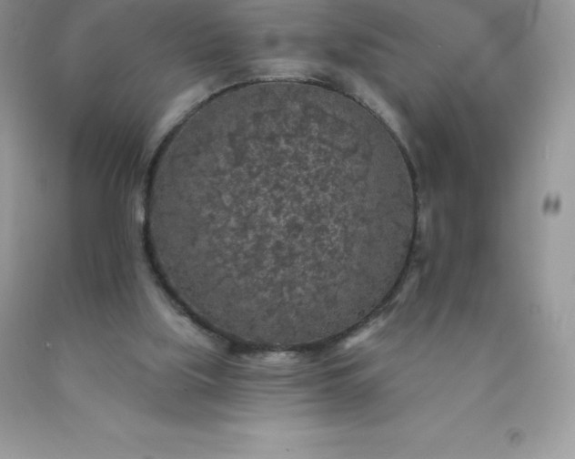 X0000090440059200707272203