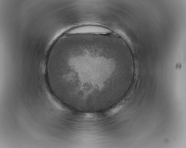 X0000090440060200707272203