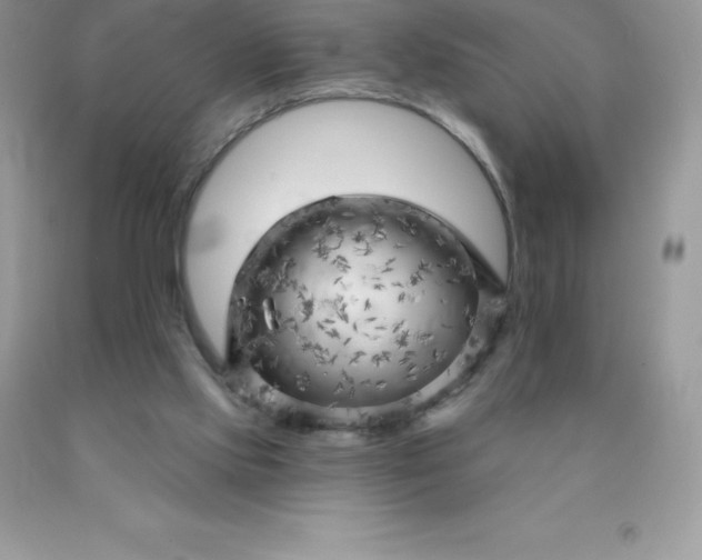 X0000090440061200707272203