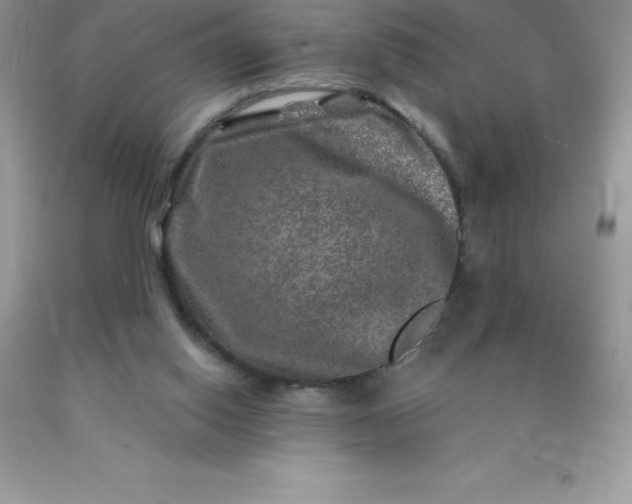 X0000090440062200707272203