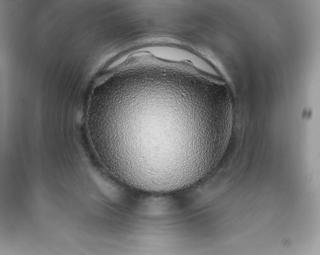 X0000090440063200707272203