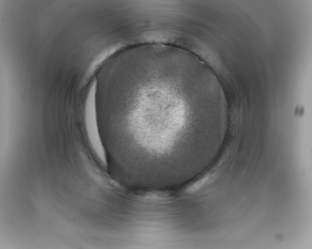 X0000090440064200707272203