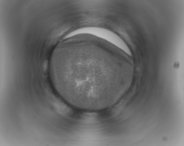 X0000090440066200707272203