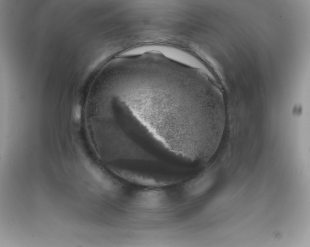 X0000090440067200707272203