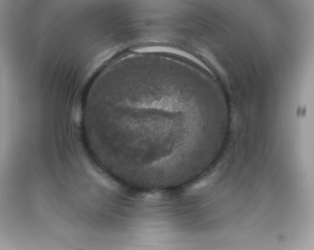 X0000090440068200707272203