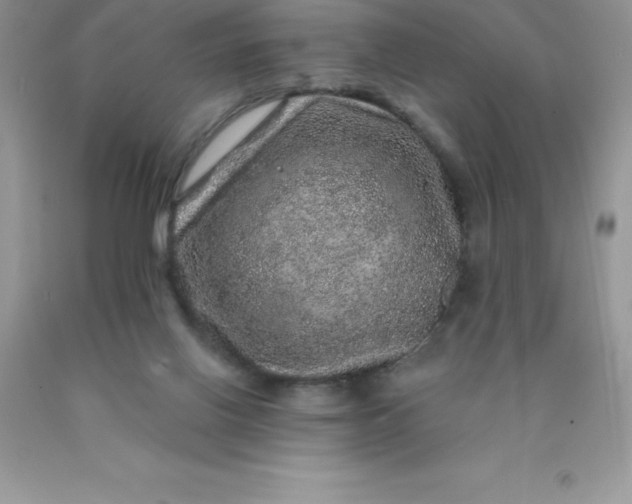 X0000090440070200707272203