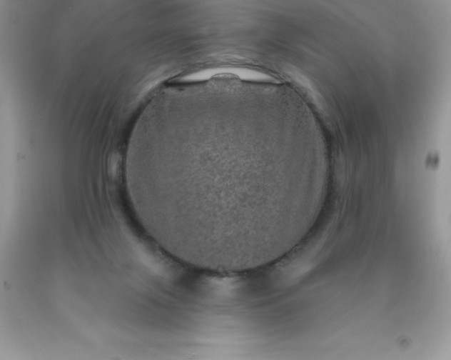 X0000090440071200707272203