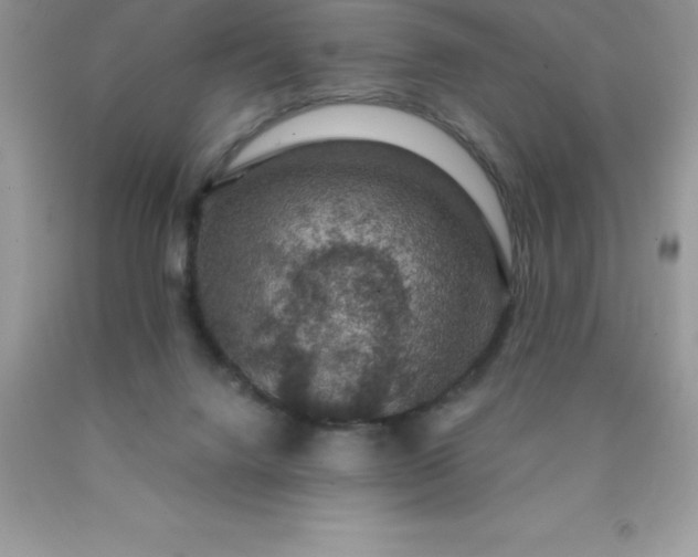 X0000090440072200707272203