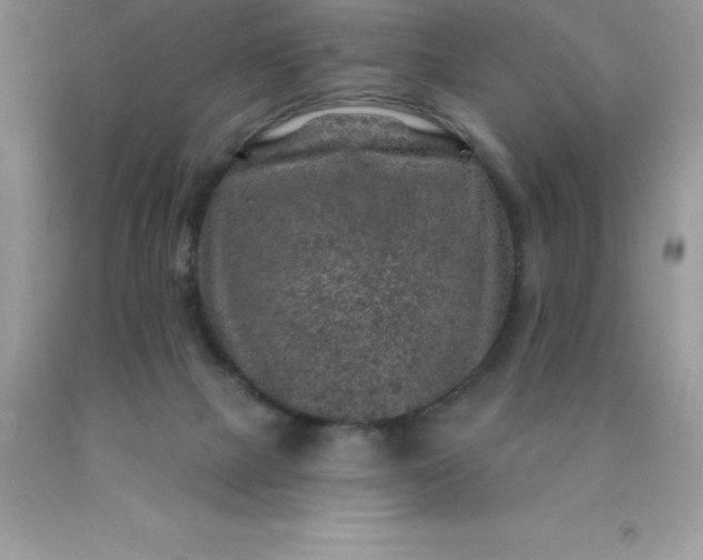 X0000090440073200707272203