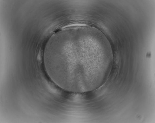 X0000090440074200707272203