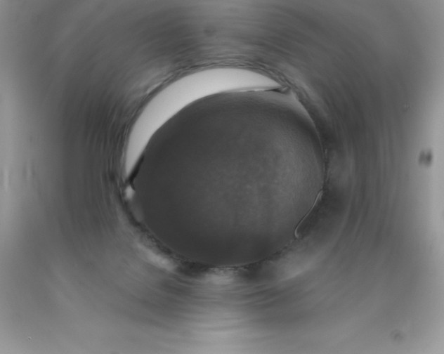 X0000090440076200707272203