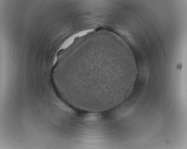 X0000090440077200707272203