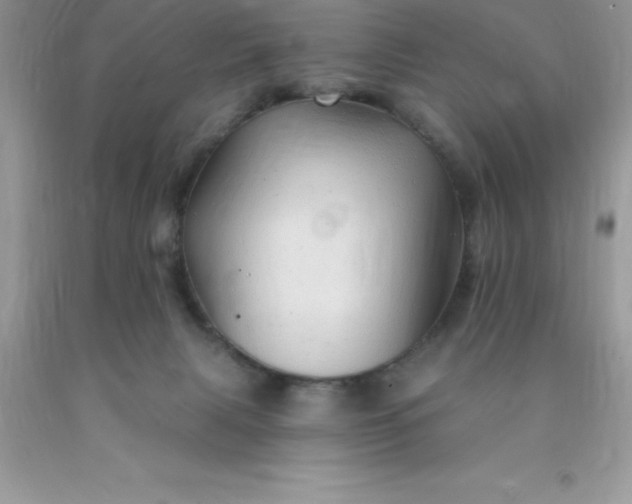 X0000090440079200707272203