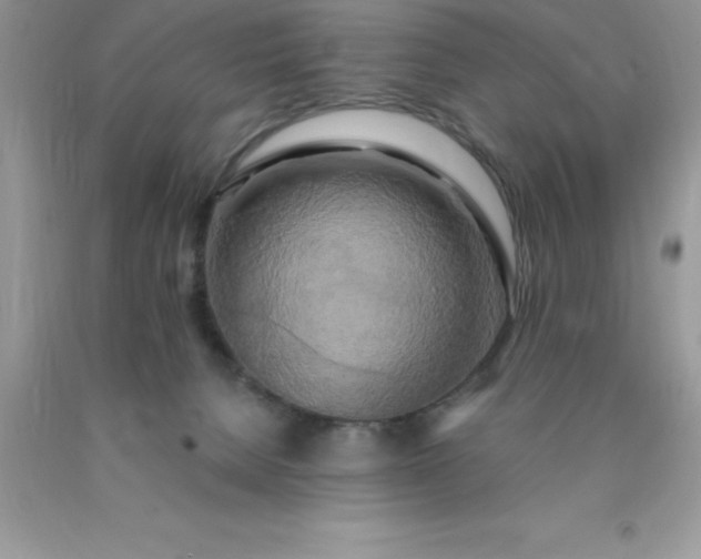 X0000090440080200707272203