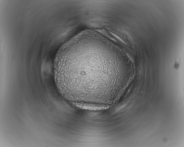 X0000090440081200707272203