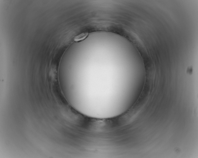 X0000090440083200707272203