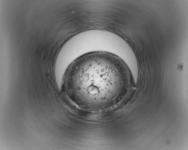 X0000090440084200707272203