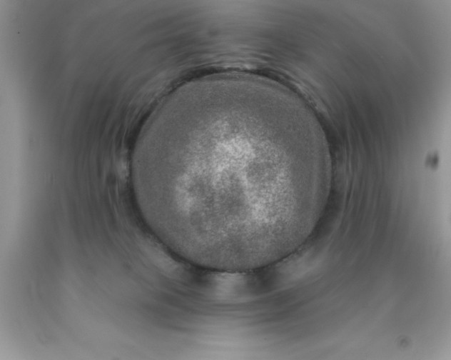 X0000090440085200707272203