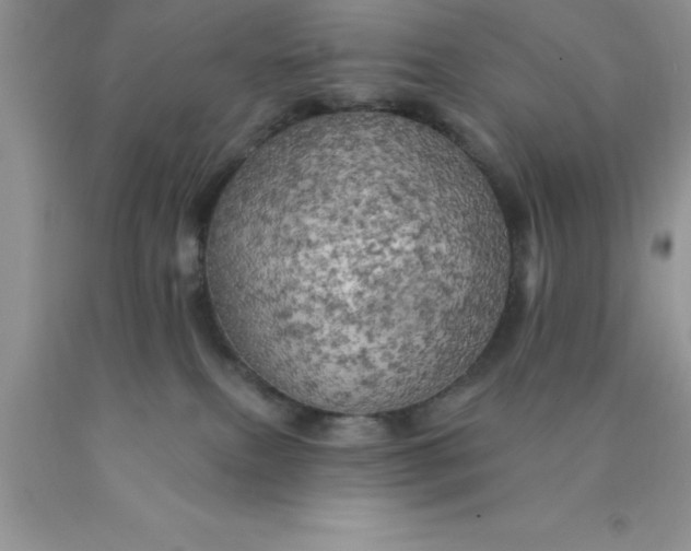 X0000090440087200707272203