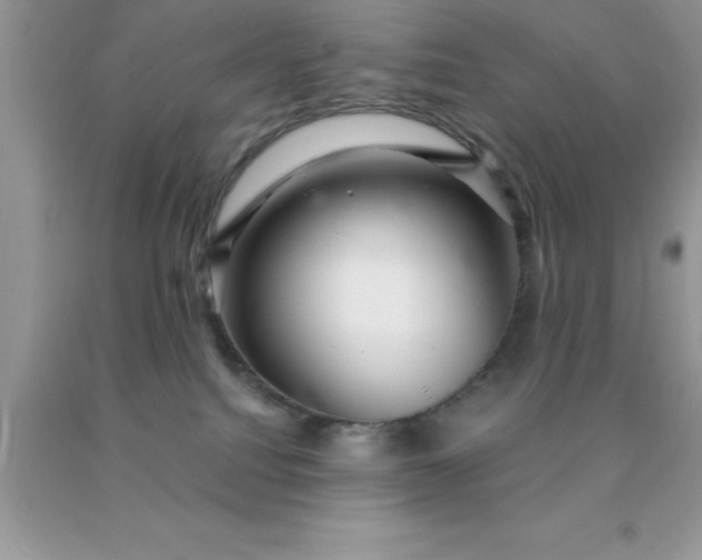 X0000090440088200707272203