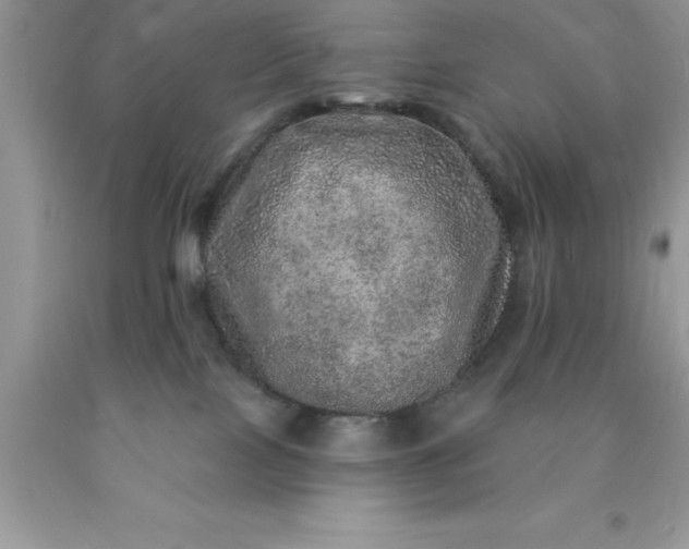 X0000090440089200707272203