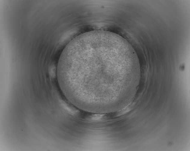 X0000090440090200707272203