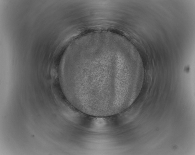 X0000090440091200707272203