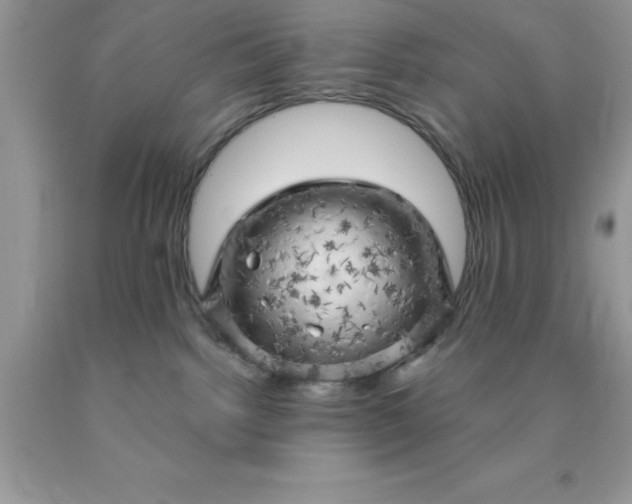 X0000090440092200707272203