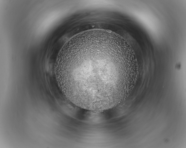 X0000090440093200707272203