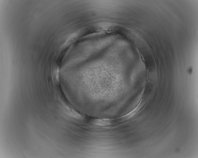 X0000090440094200707272203