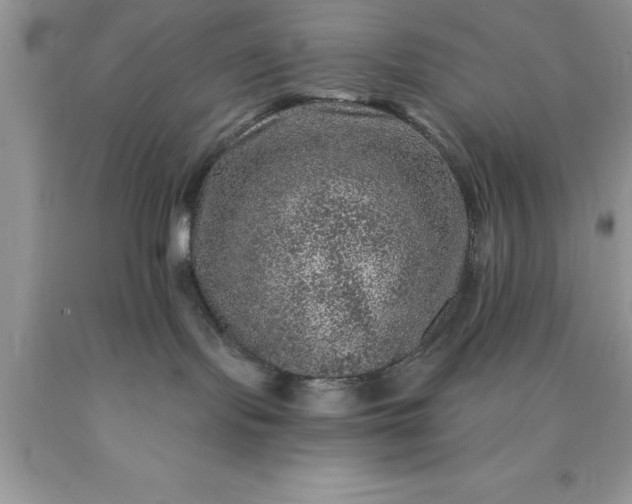 X0000090440095200707272203