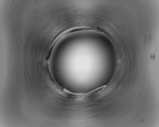 X0000090440096200707272203