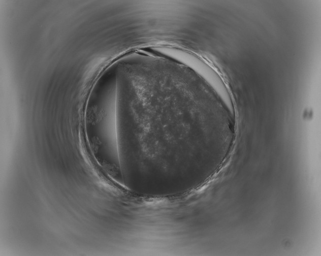 X0000090440097200707272203