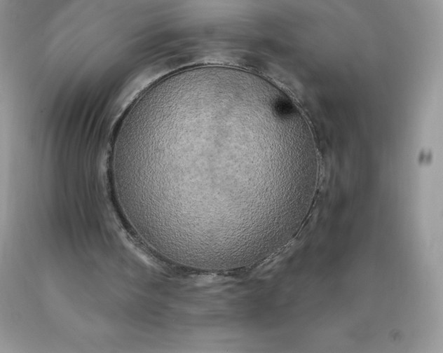 X0000090440098200707272203