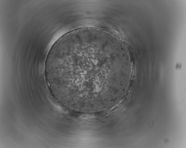 X0000090440099200707272203