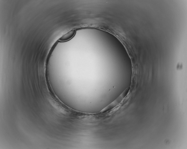 X0000090440100200707272203