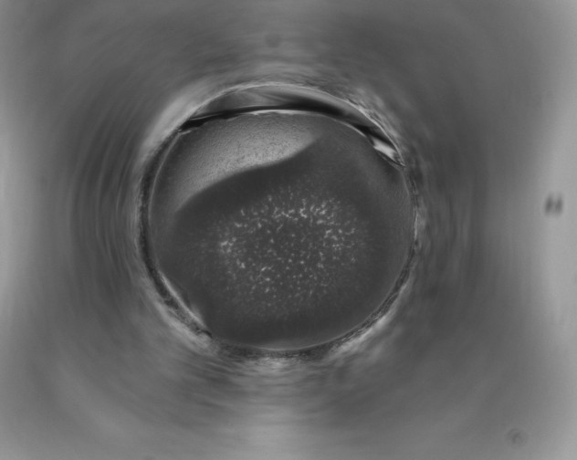 X0000090440101200707272203