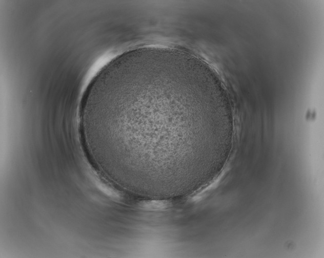 X0000090440102200707272203