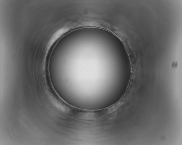 X0000090440104200707272203