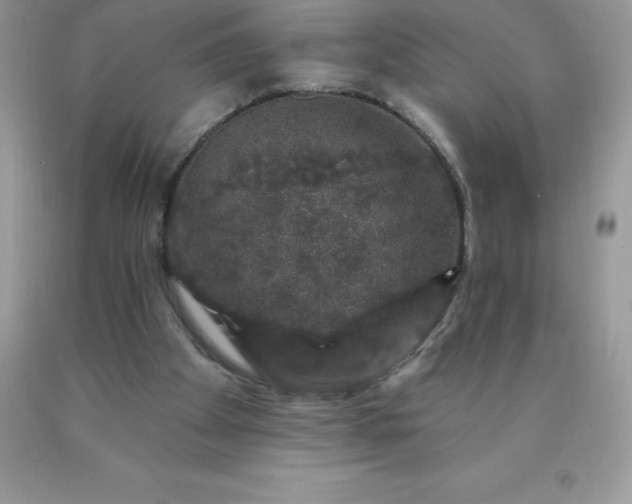 X0000090440105200707272203