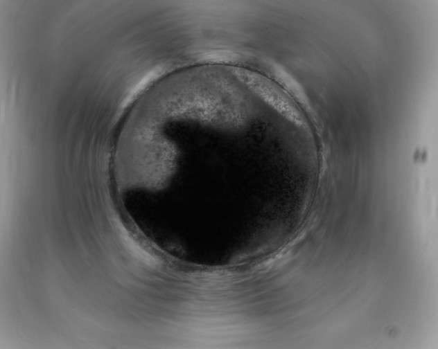 X0000090440106200707272203