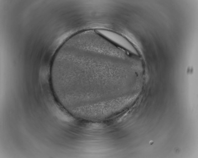 X0000090440107200707272203