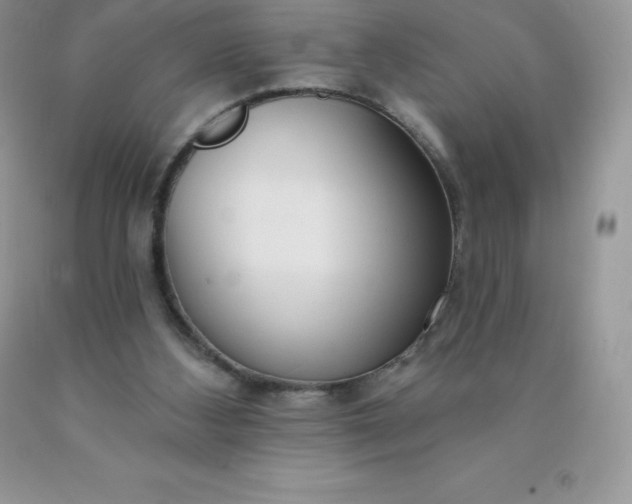 X0000090440108200707272203